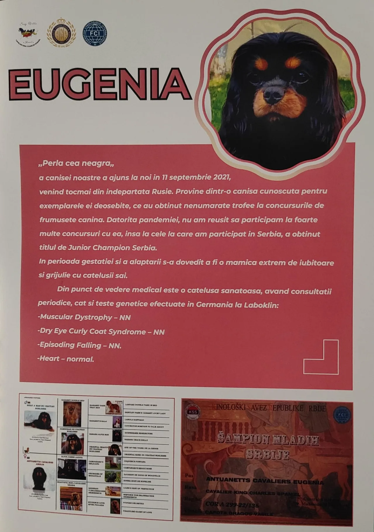 Eugenia, mama cuibului A