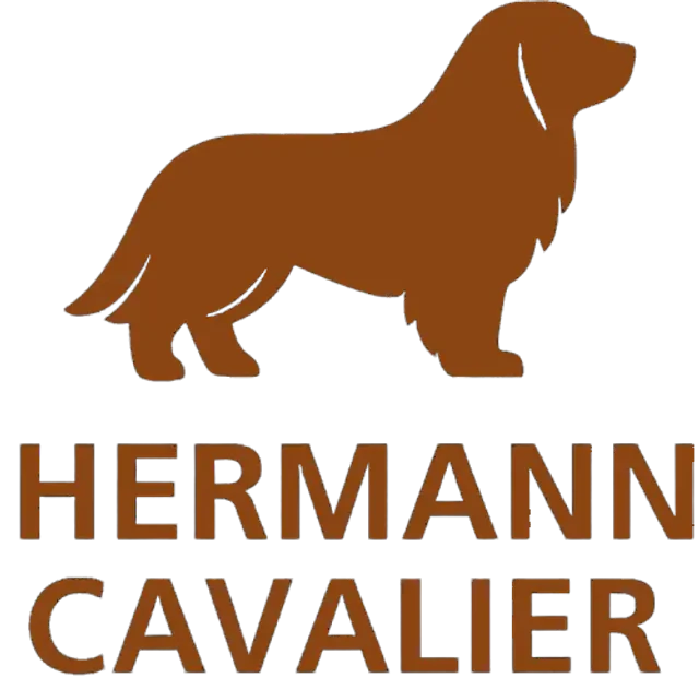 Hermann Cavalier